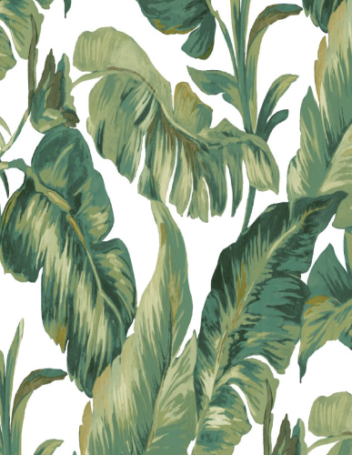 Papier peint esprit végétal collection Hawai de Montecolino